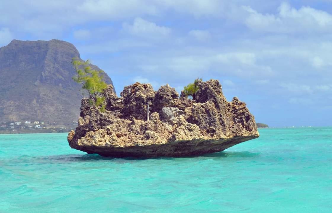 Seaview Kite Studio - ラ・ガウレット エクステリア 写真